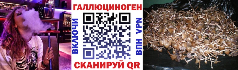 Галлюциногенные грибы ЛСД Бугуруслан