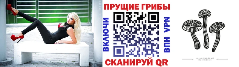 Псилоцибиновые грибы ЛСД  Бугуруслан 